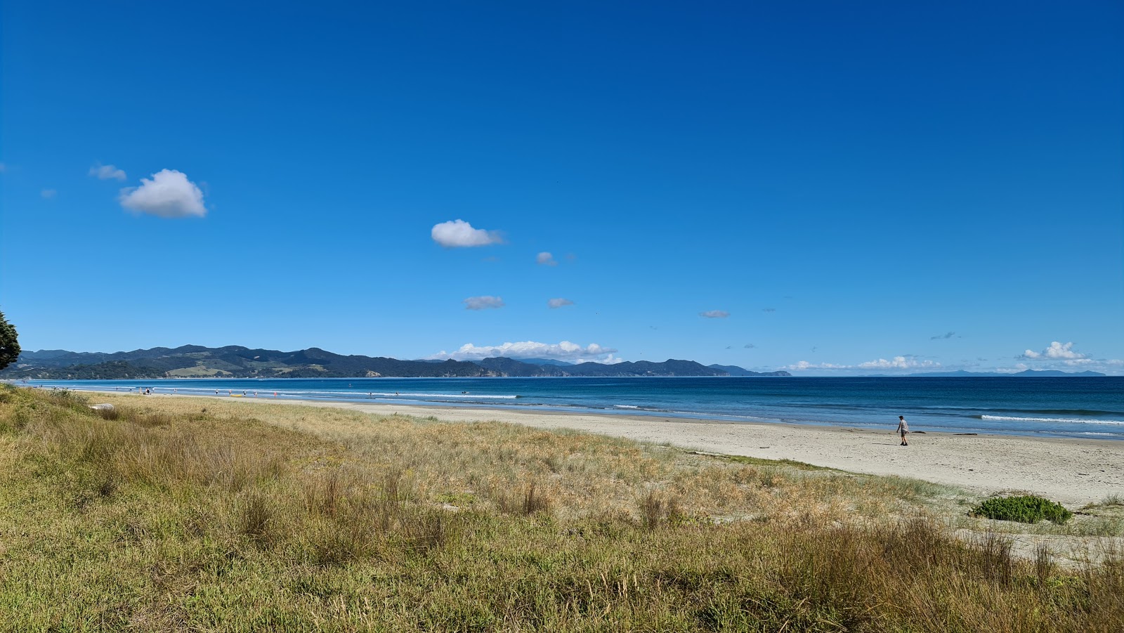 Foto de Matarangi Beach con recta y larga