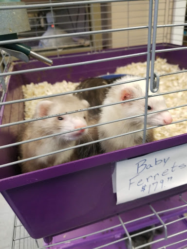 Pet Store «Animal Island Pet Shop», reviews and photos, 14411 S Cicero Ave, Midlothian, IL 60445, USA