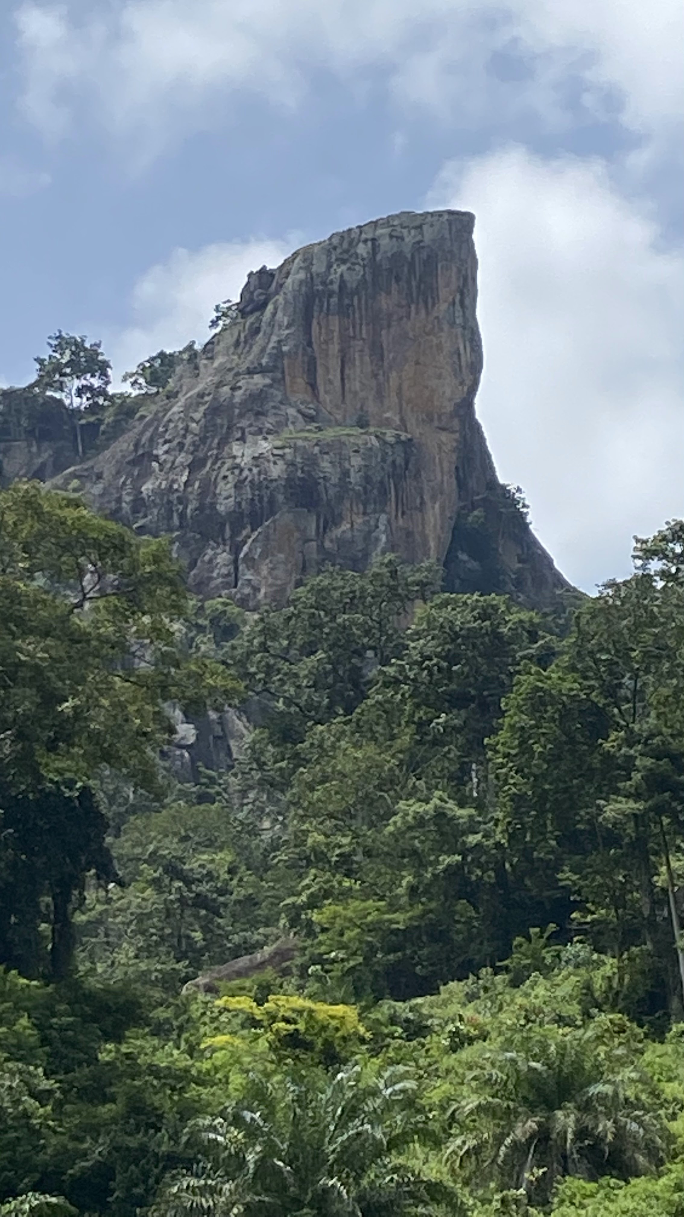 Photo n° 14 de l'avis de yves.a fait le 05/09/2022 à 18:32