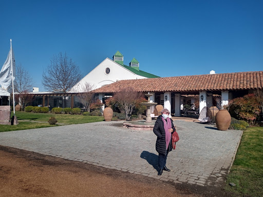 Winery Casas del Bosque