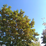 Photo n°3 de l'avis de Daniel.r fait le 21/05/2018 à 19:35 sur le  Gasthof Wiehmeier à Salzkotten