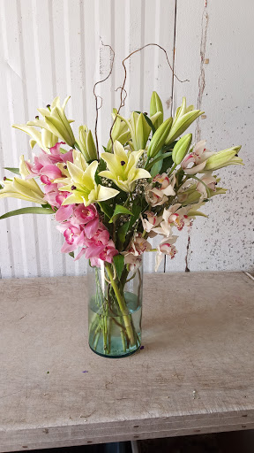 Florist «The Flower Place», reviews and photos, 860 NE 79th St, Miami, FL 33138, USA