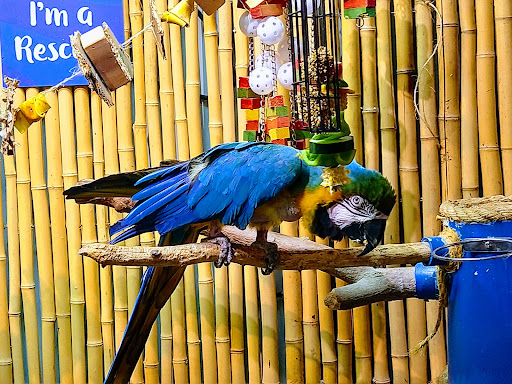 Aquarium «SeaQuest Interactive Aquarium», reviews and photos, 1201 N Hill Field Rd #1072, Layton, UT 84041, USA