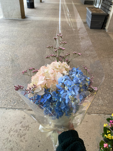 Florist «Fern by Boston Rose Florist», reviews and photos, 225 Massachusetts Ave, Boston, MA 02115, USA