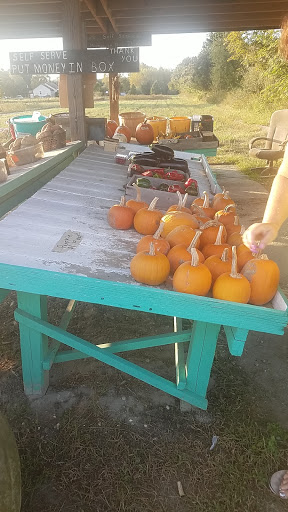 Grocery Store «Liepes Farm & Market», reviews and photos, 3135 S Cologne Ave, Mays Landing, NJ 08330, USA