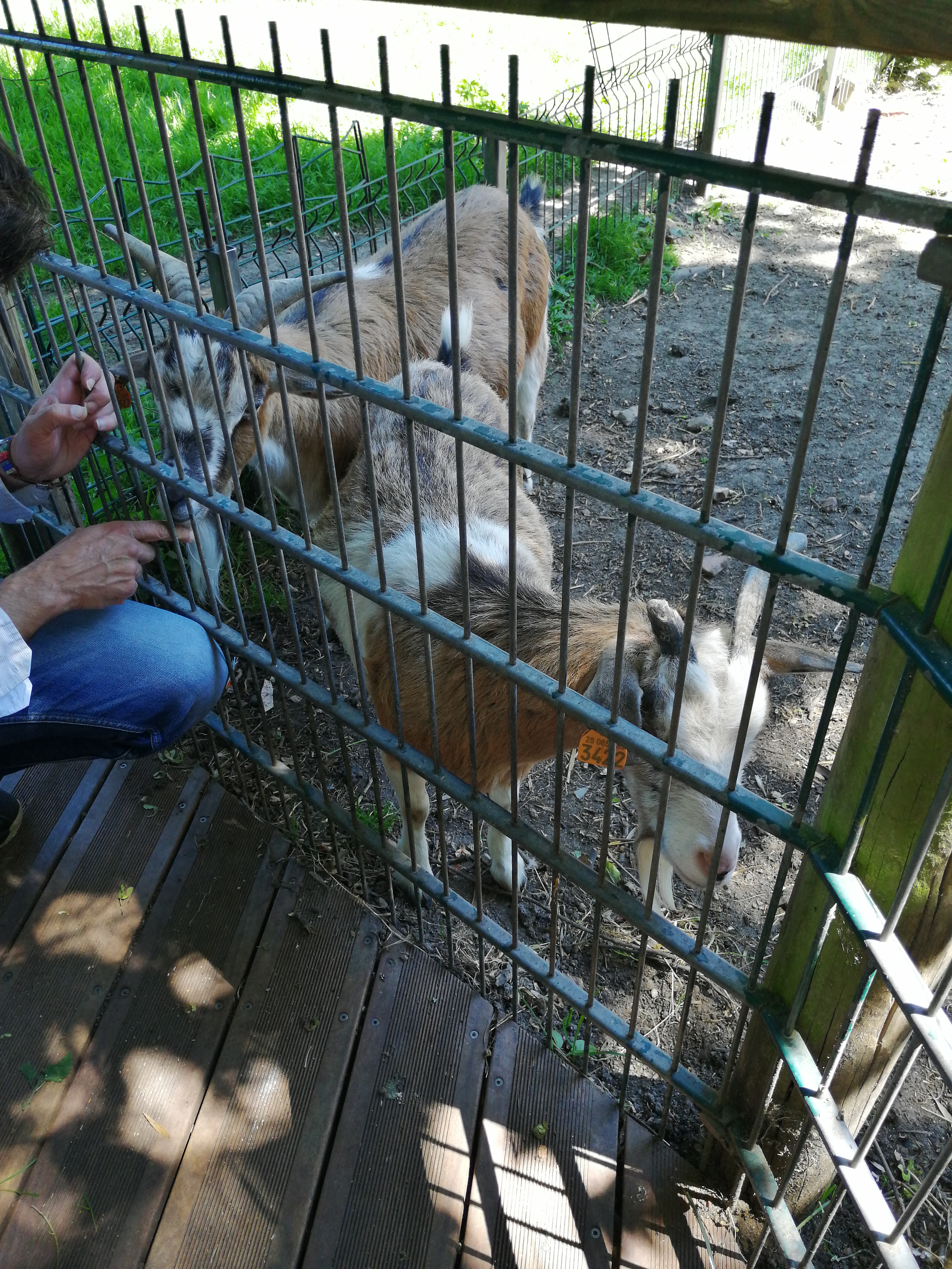 Photo n° 2 de l'avis de Angelique.i fait le 22/06/2019 à 13:43