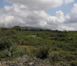 Biosfera Residencial photo