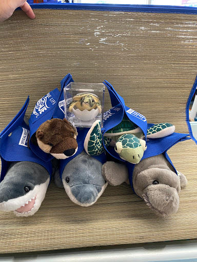 Gift Shop «Little Pelican Gift Shop», reviews and photos, 16919 Gulf Blvd, North Redington Beach, FL 33708, USA