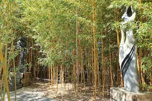 Labirinto de bambu image