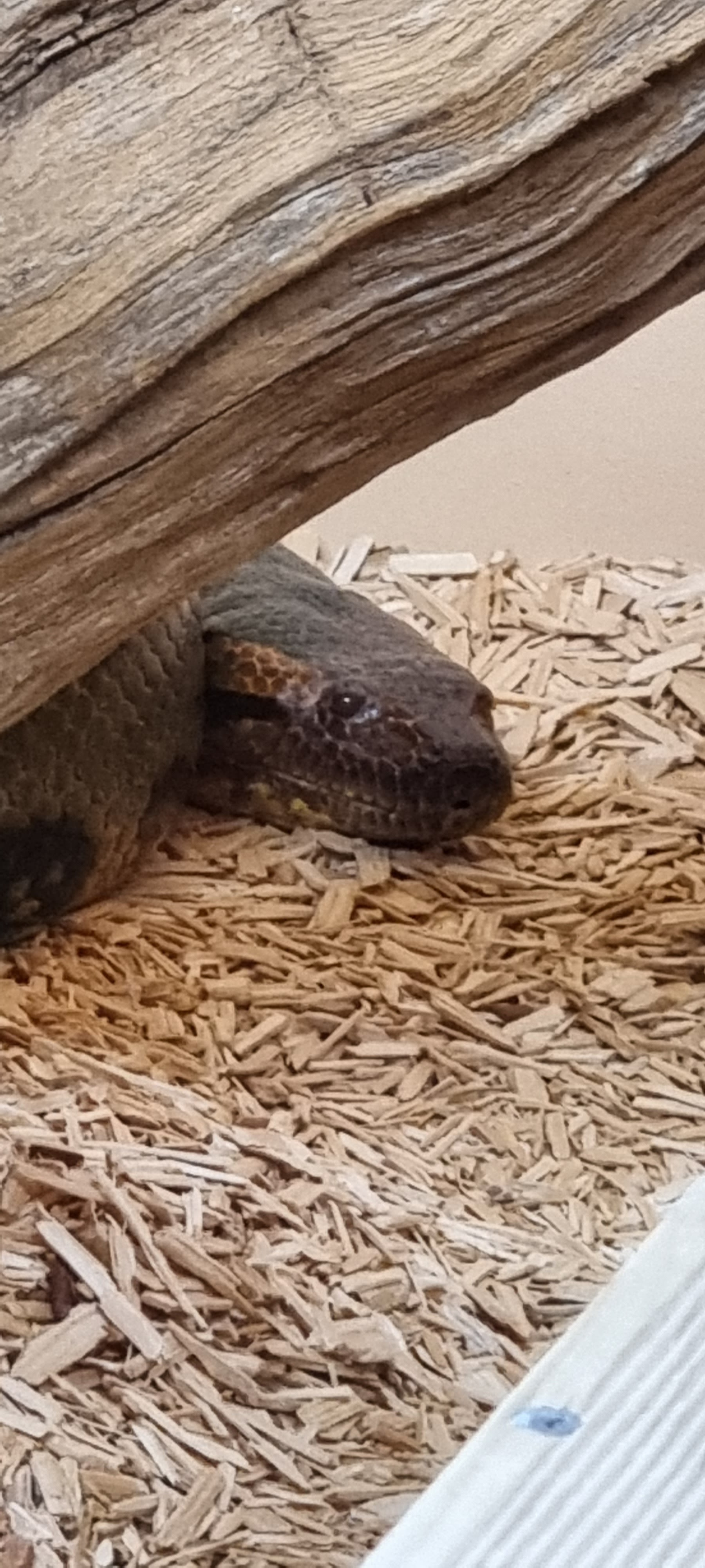 Photo n° 1 de l'avis de David.v fait le 01/04/2023 à 17:10