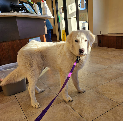 Fort Wayne Pet Hospital image