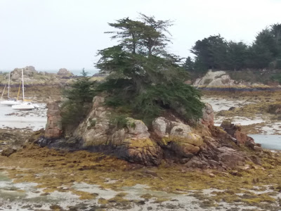 Le Refuge Des Elfes à Île-de-Bréhat