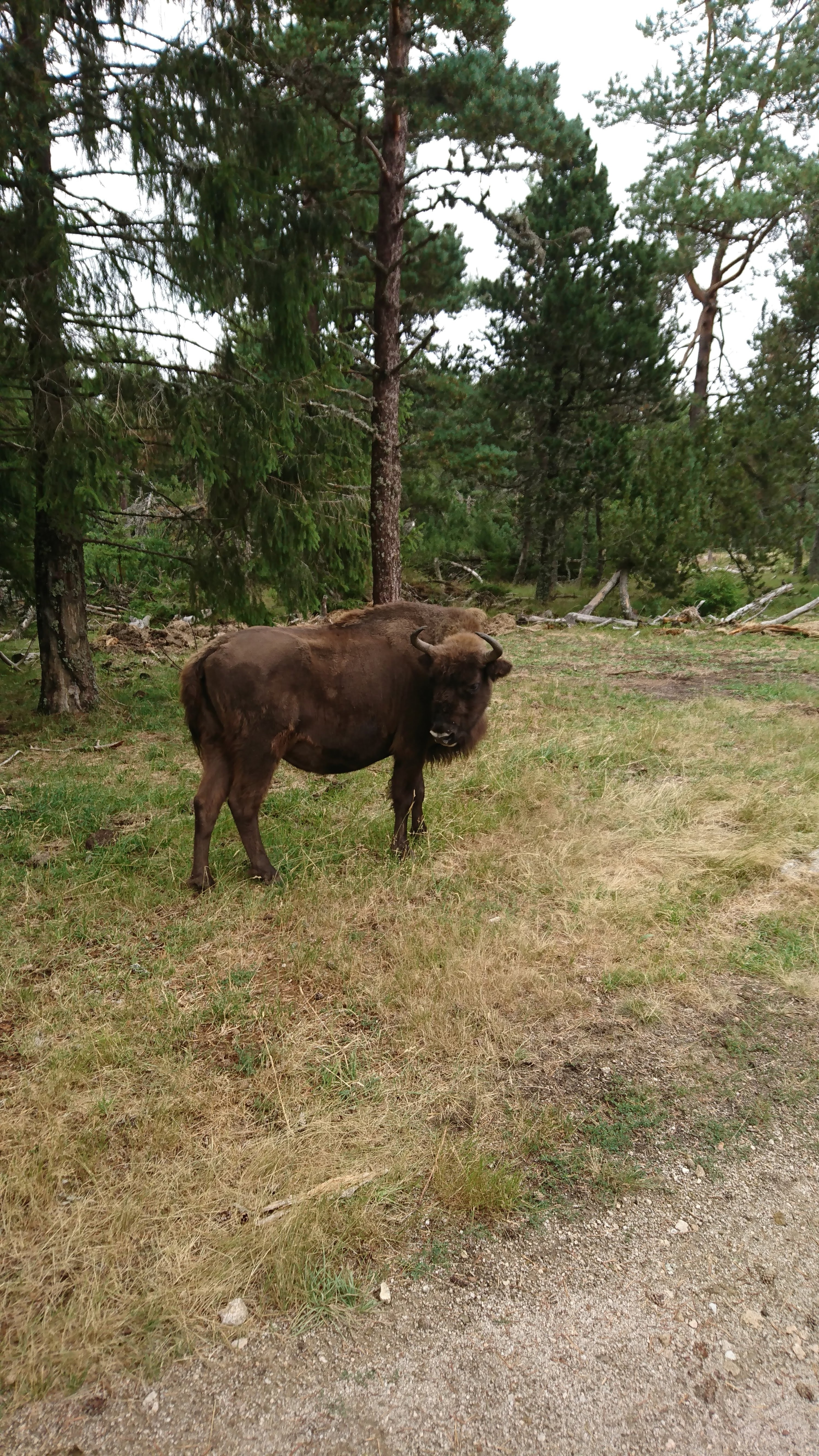 Photo n° 4 de l'avis de Bernard.l fait le 16/08/2019 à 10:01