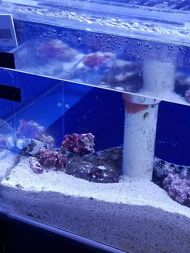 Aquarium «Aquatica», reviews and photos, 800 Clanton Rd H, Charlotte, NC 28117, USA