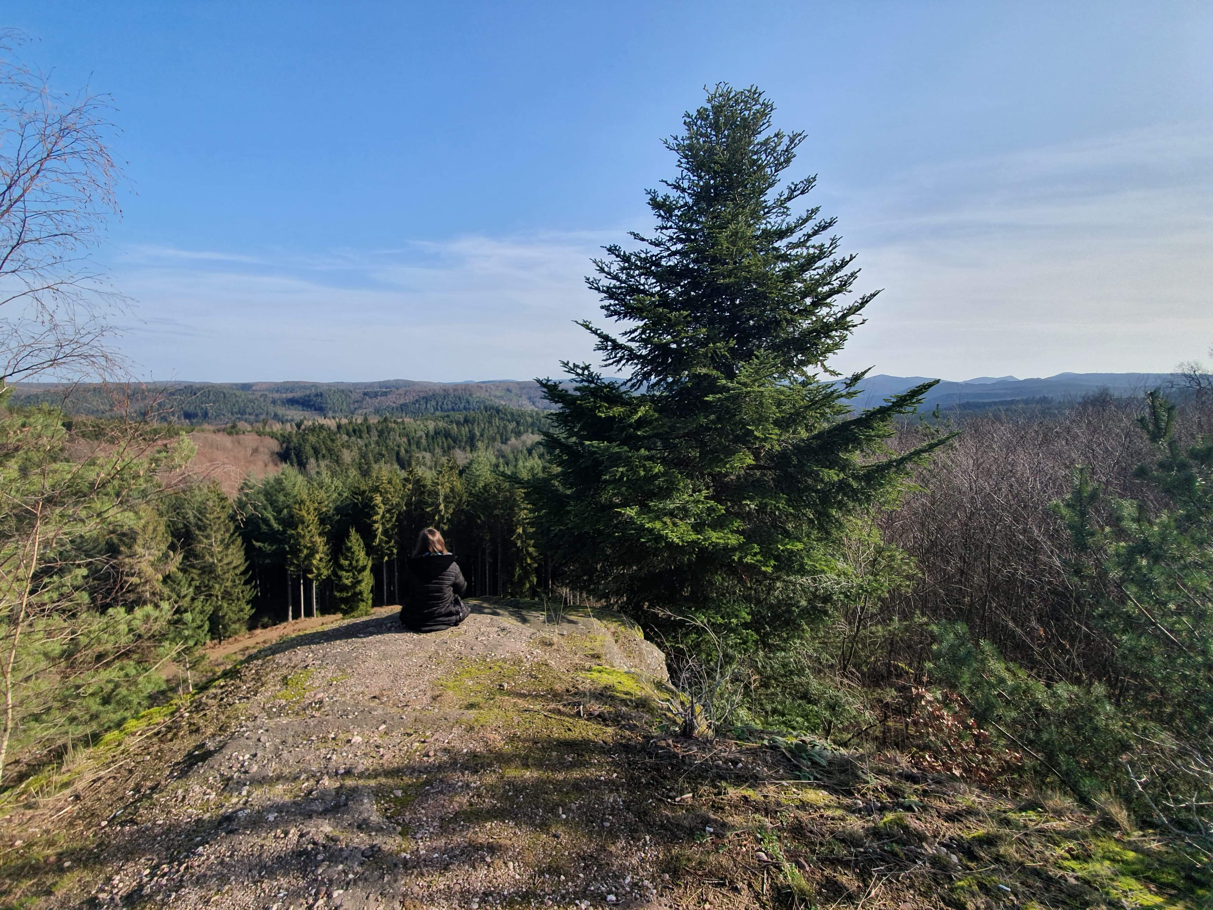 Photo n° 8 de l'avis de Magalie.a fait le 10/02/2020 à 19:38