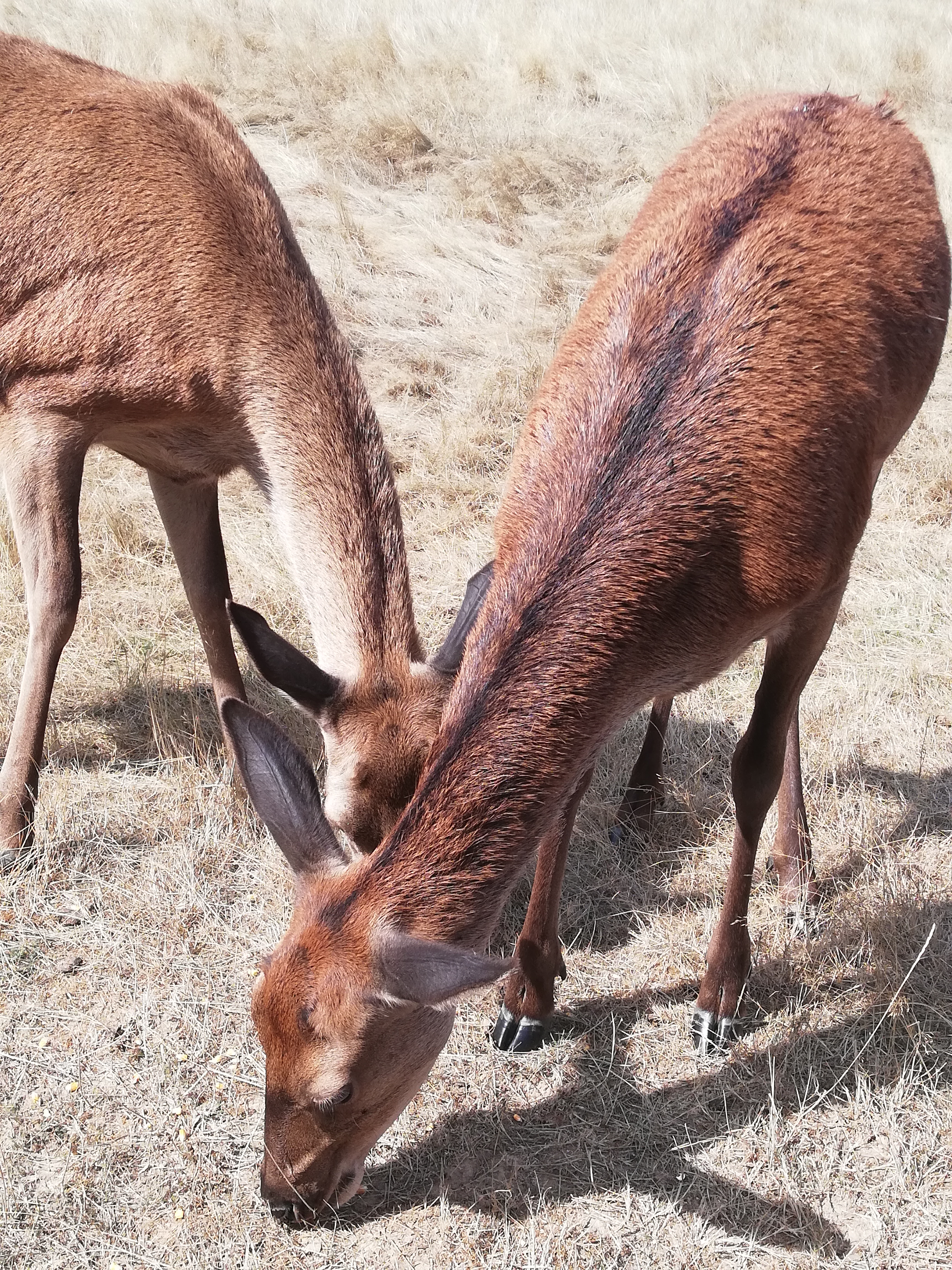 Photo n° 11 de l'avis de Severine.e fait le 23/08/2019 à 23:18