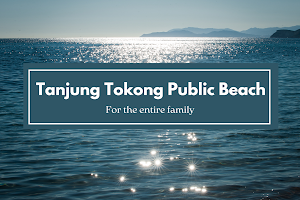 Tanjung Tokong Public Beach image
