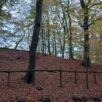 Photo n°23 de l'avis de Iemkje.l fait le 03/11/2023 à 19:51 sur le  Hotel zum Rosenteich à Bad Zwischenahn