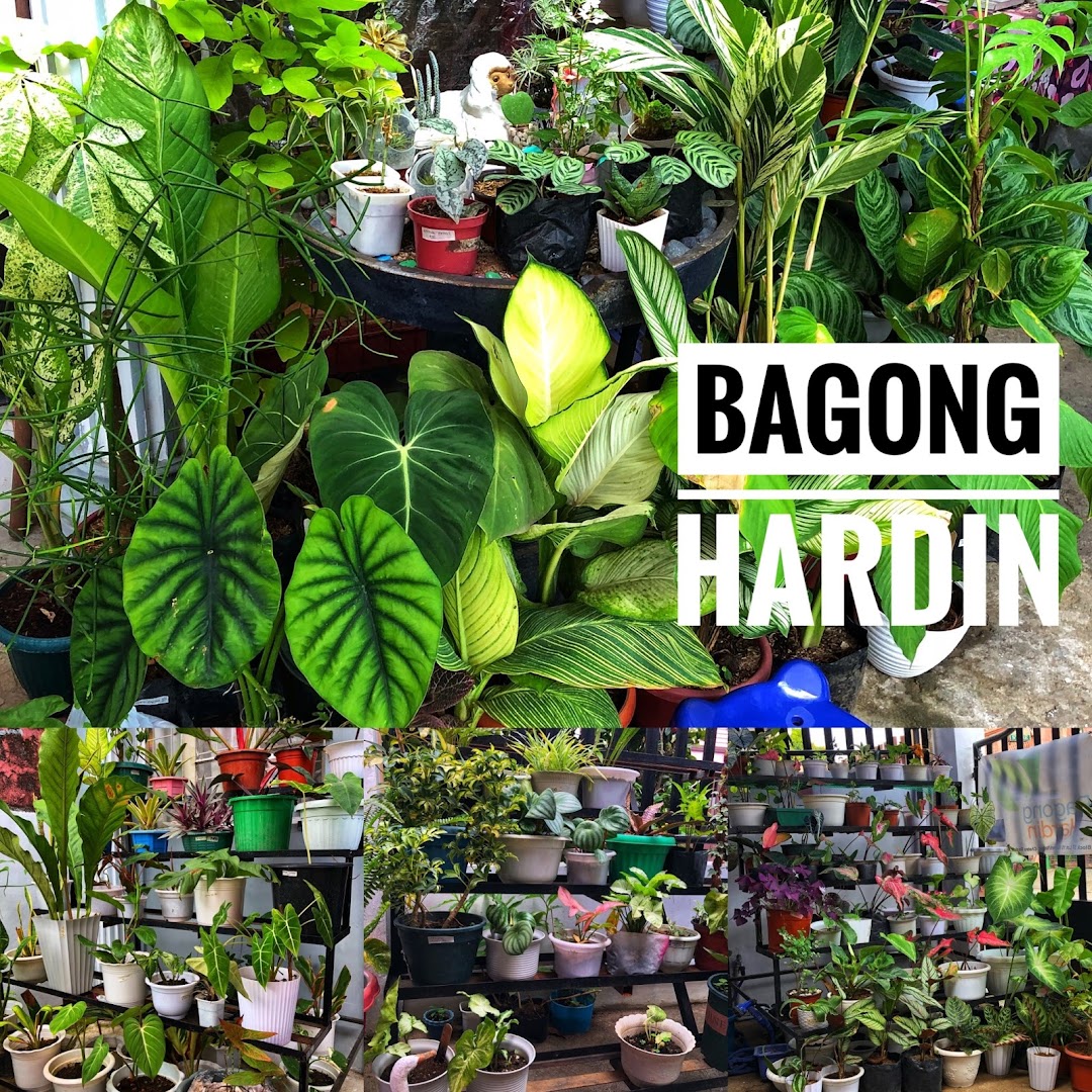 Bagong Hardin