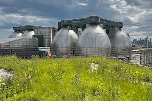 Kingsland Wildflowers Green Roof & Community Engagement Center image