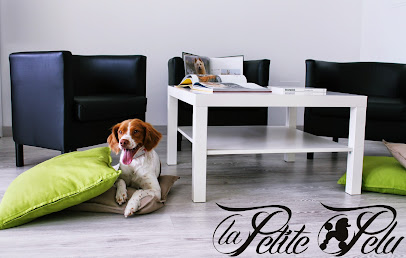 Información y opiniones sobre La Petite Pelu-Salón de Peluquería Canina y Spa de Guadalajara