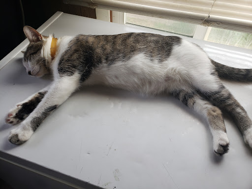 Lewis Clark Animal Shelter