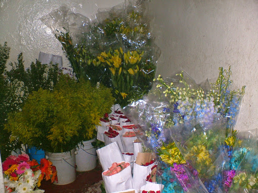 Floreria Bugambilias – Jiutepec