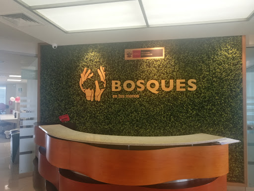 Programa Nacional de Conservación de Bosques - Ministerio del Ambiente