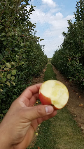 Greenhouse «Stony Hill Gardens», reviews and photos, 8 NJ-24, Chester, NJ 07930, USA