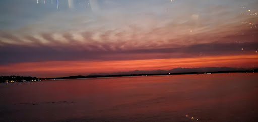 Park «Waterfront Park», reviews and photos, 1401 Alaskan Way, Seattle, WA 98101, USA