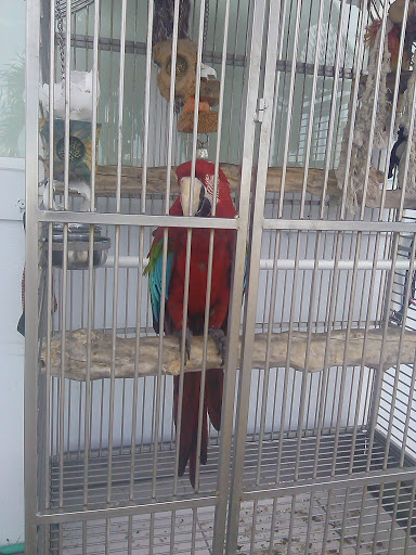 Boat Tour Agency «Good Time Charters», reviews and photos, 4765 Estero Blvd, Fort Myers Beach, FL 33931, USA