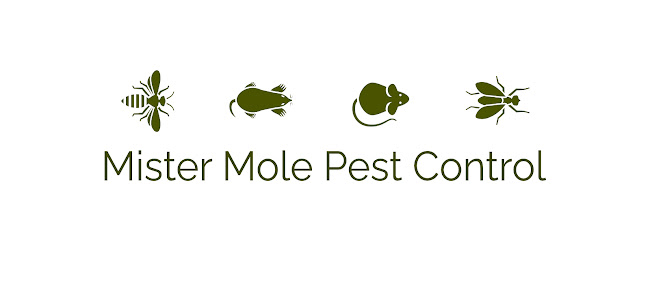 Reviews of Mister Mole Pest Control in Oxford - Pest control service