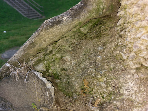 National Park «Fort Hunt Park», reviews and photos, 8999 Fort Hunt Rd, Alexandria, VA 22308, USA