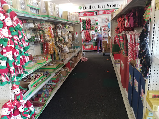 Dollar Store «Dollar Tree», reviews and photos, 5448 Perkiomen Ave, Reading, PA 19606, USA