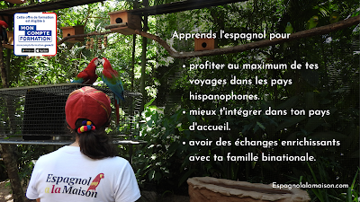 Espagnol à la Maison - Cours particuliers et formations à distance à Bain-de-Bretagne
