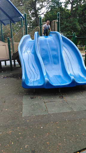 Park «Garfield Park Conservatory», reviews and photos, 300 N Central Park Ave, Chicago, IL 60624, USA