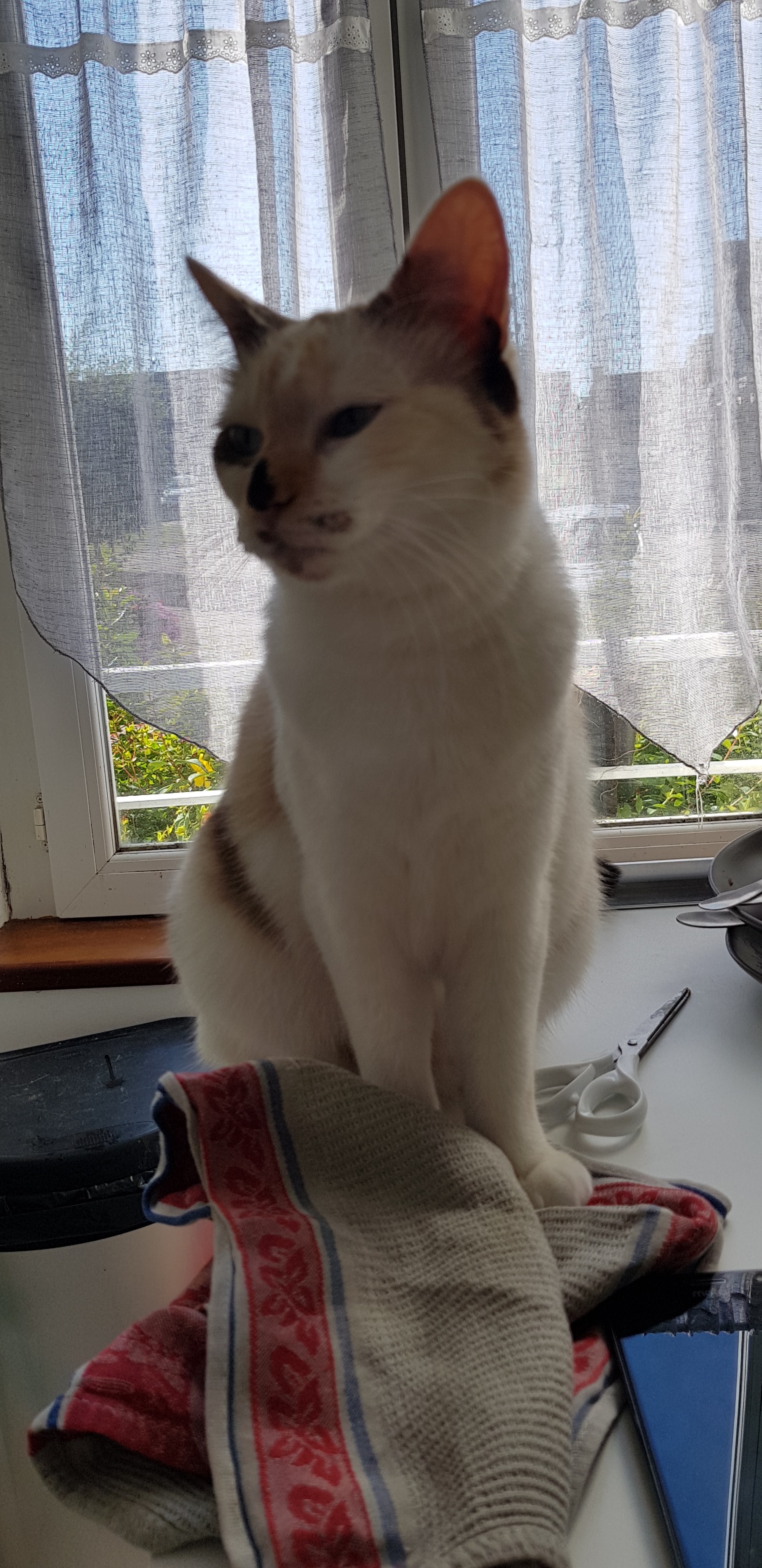 Photo n° 1 de l'avis de K.H fait le 21/08/2018 à 20:29