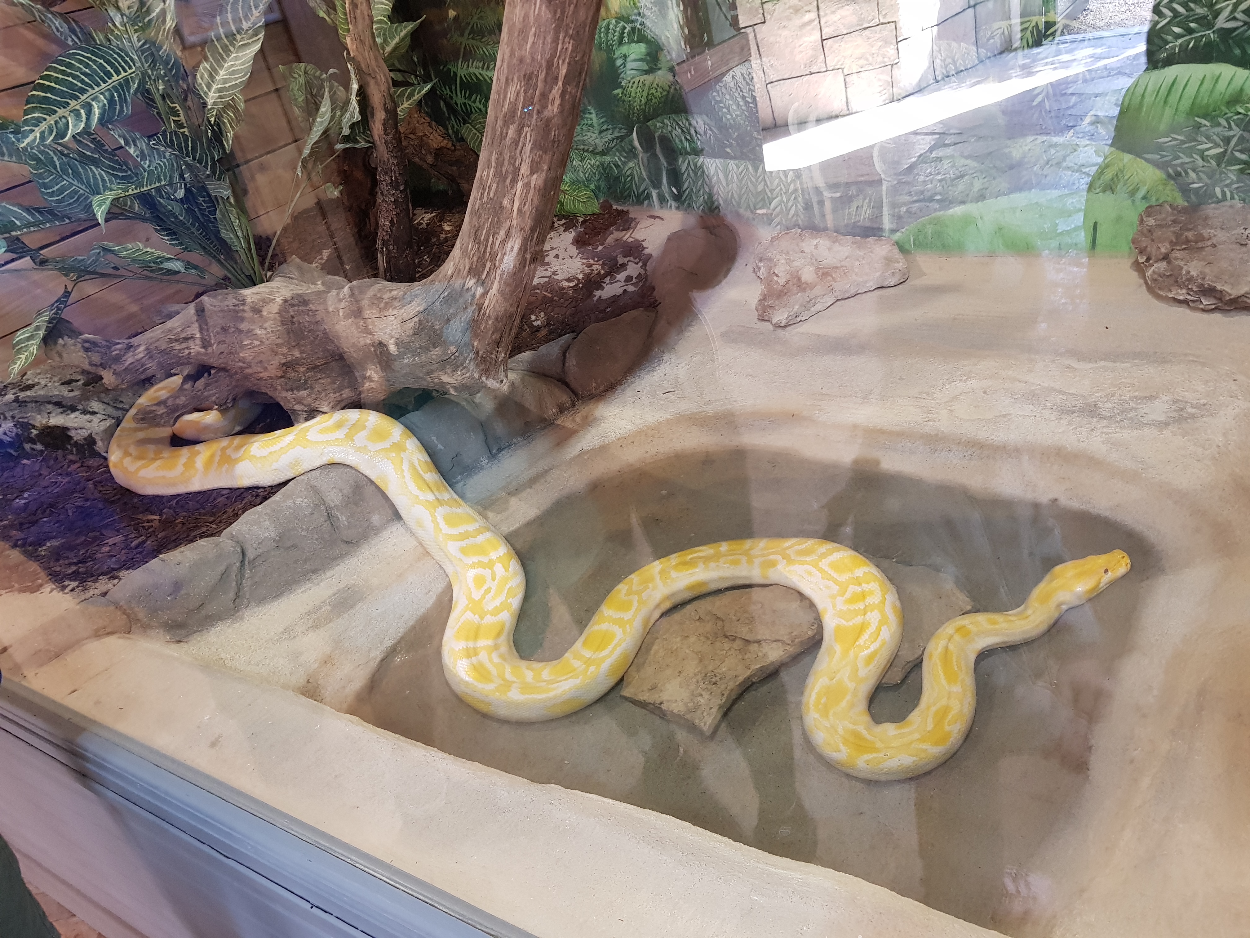 Photo n° 6 de l'avis de Lala.a fait le 24/08/2020 à 19:44