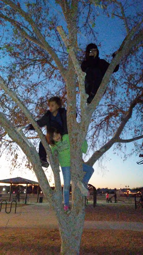 Park «Desert Star Park», reviews and photos, 8550 W Encanto Blvd, Phoenix, AZ 85037, USA