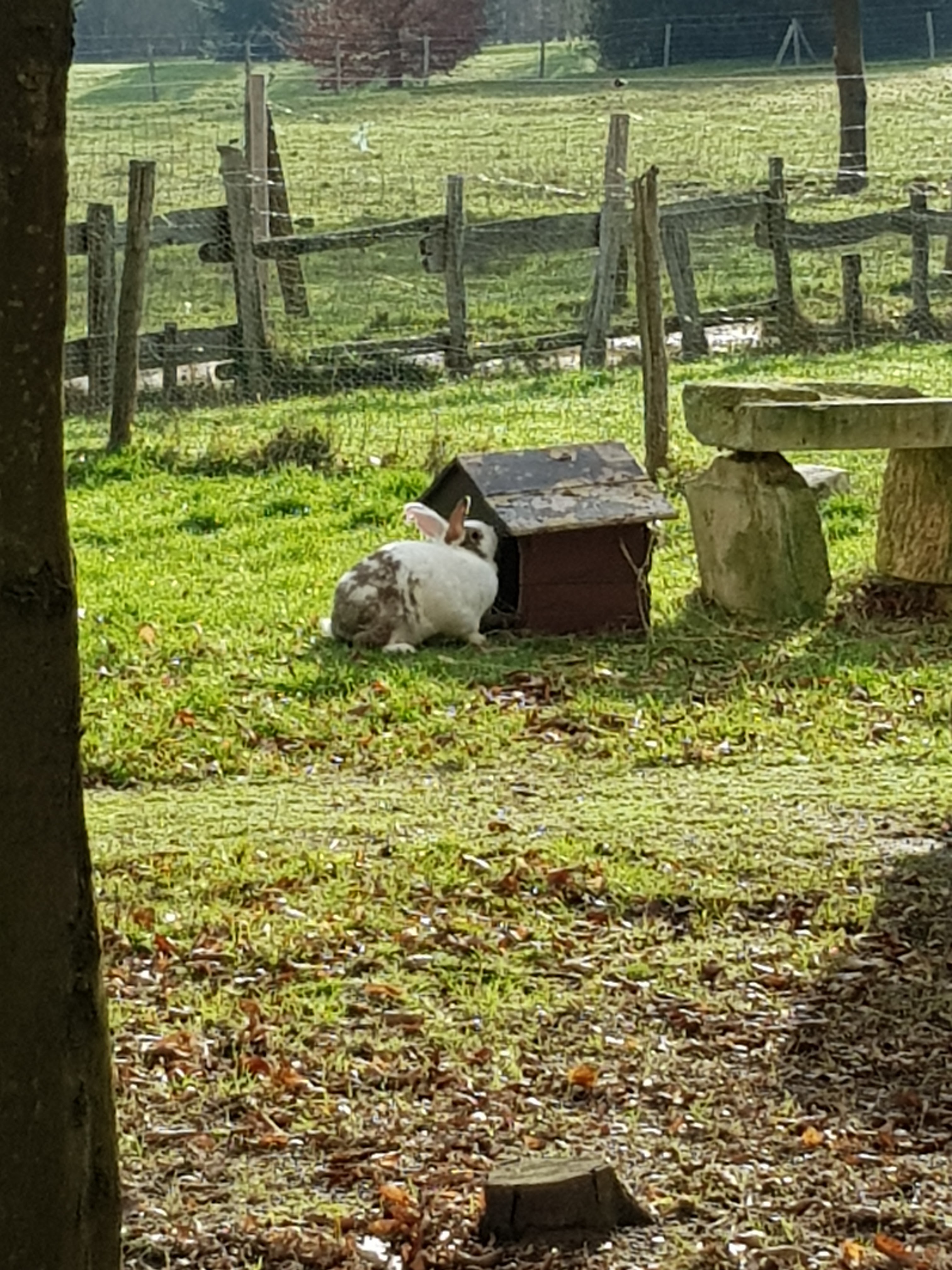 Photo n° 2 de l'avis de Linda.a fait le 10/01/2019 à 19:15