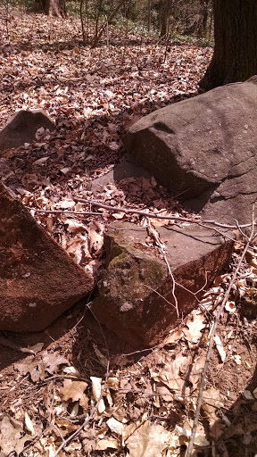 Nature Preserve «Fernbank Forest», reviews and photos, 767 Clifton Rd, Atlanta, GA 30307, USA