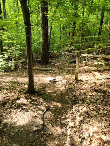 Bill Faver Lakeshore Trail