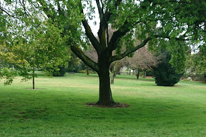 Beverley Park Rose Garden