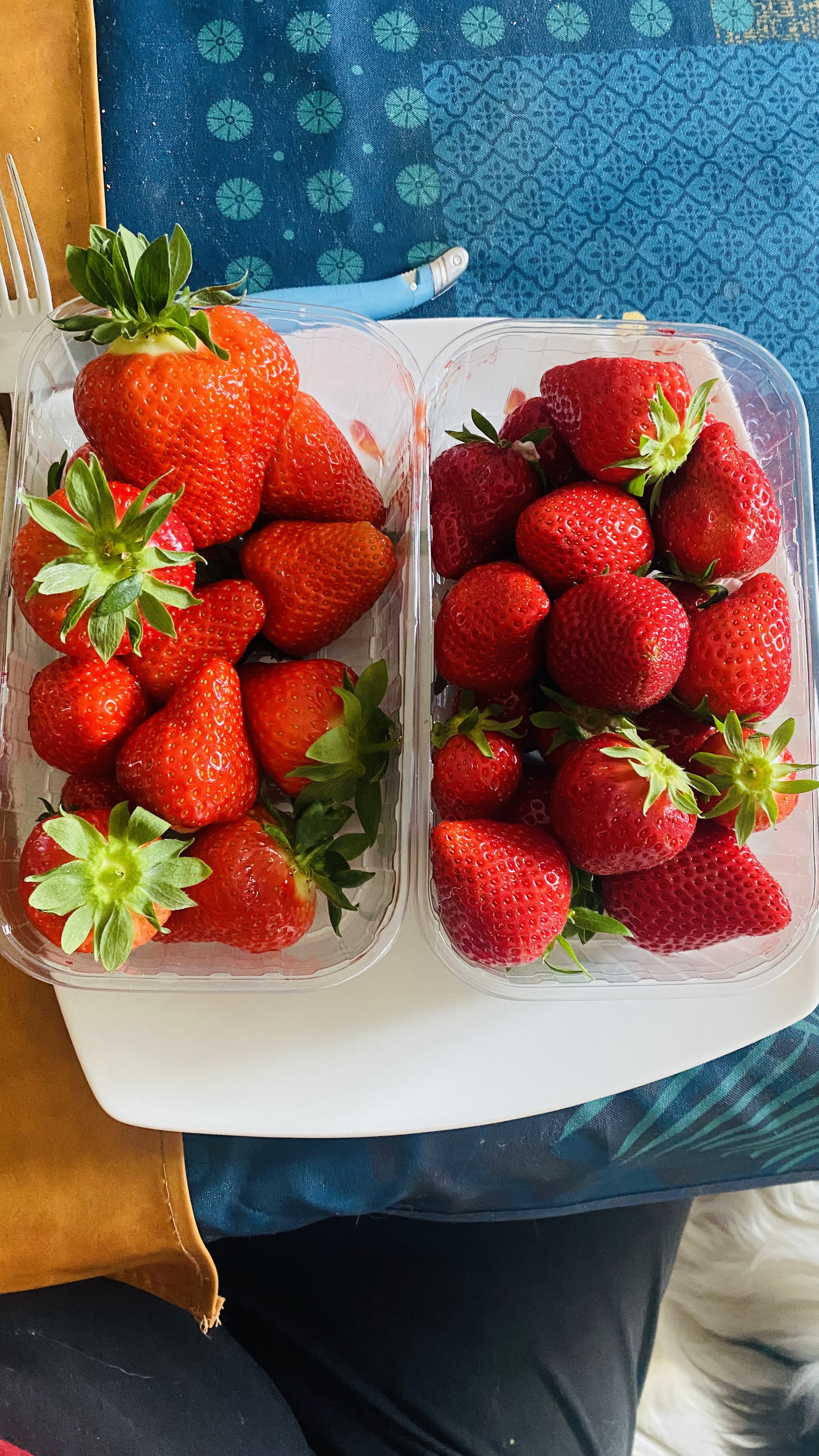 Photo n° 1 de l'avis de Jean-Luc.O fait le 23/04/2024 à 15:45