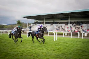Clonmel Racecourse image