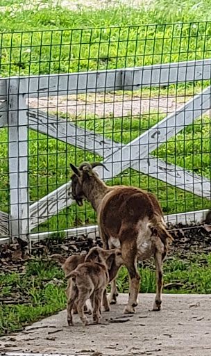 Golf Course «Drumm Farm Golf Club», reviews and photos, 15400 E 34th St S, Independence, MO 64055, USA