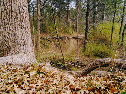 Park «Boulder Park MTB», reviews and photos, 6608 Pastor Bailey Dr, Dallas, TX 75237, USA