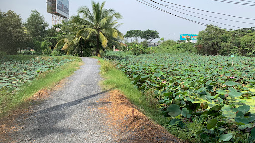 Top 20 cửa hàng cây kiểng Huyện Ba Vì Hà Nội 2022