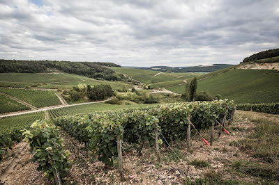 Champagne C.H. Piconnet à Neuville-sur-Seine