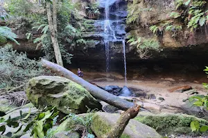 Horseshoe Falls walking track image